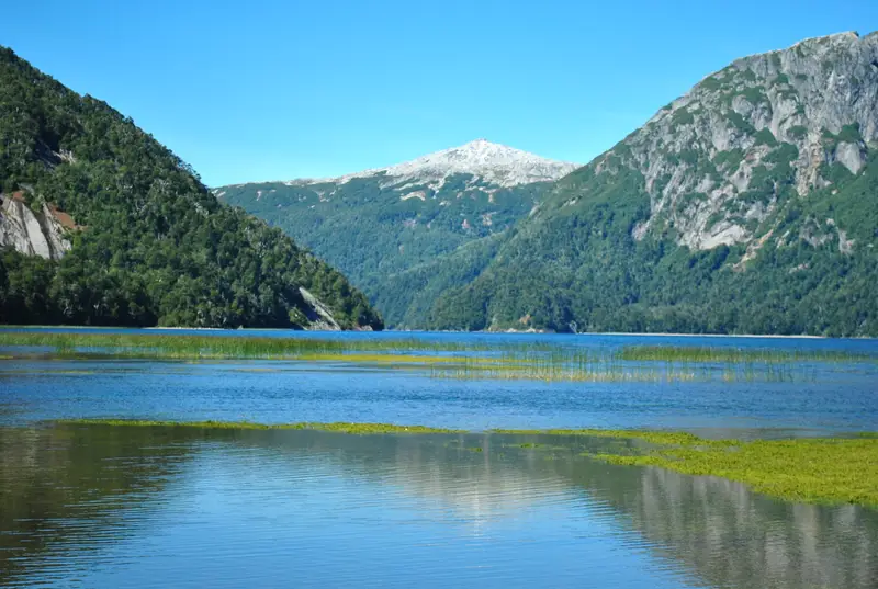 Lago de agua quieta con juncos en la orilla y un cerro nevado al fondo