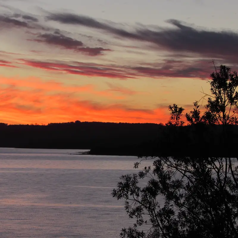 Ocaso rojo sobre el lago con árboles en silueta