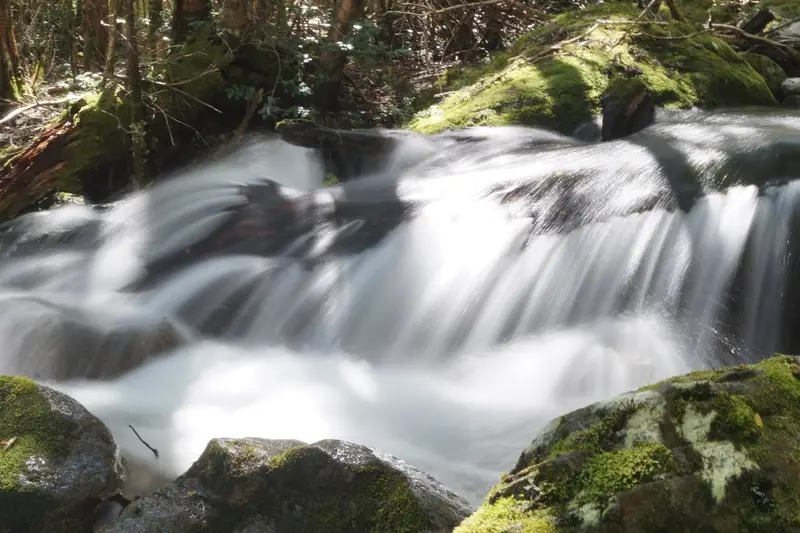 Río de agua cristalina entre piedras y bosque